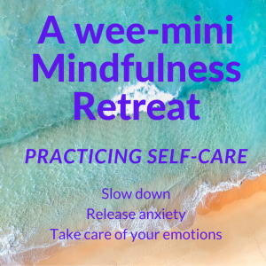 A wee-mini Mindfulness Retreat